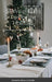 15 Weight Loss Tips for the Holidays: Don't Pack on the Pounds this Holiday Season by C. Ht Cha Michael D. Milson