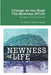 Change As You Seek The Newness Of Life: Evolving In Your Walk In Life by Steppi G. Williams-Rogers