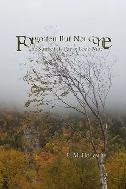 Forgotten But Not Gone: The Sum of its Parts: Book Nine by E. M. Holloway