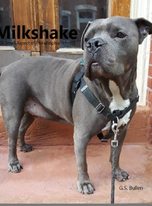 Milkshake: Milkshake(A Small Aspect of Philadelphia '17-'20) by Gs Bullen