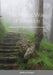 The Mystic Way of Salvation: Landmarks on the Journey Toward Spiritual Maturity by Matthew Scraper