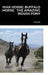 War Horse; Buffalo Horse. the Amazing Indian Pony by Susan Fadler