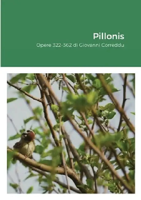Pillonis: Opere 322-362 di Giovanni Correddu by Giovanni Correddu