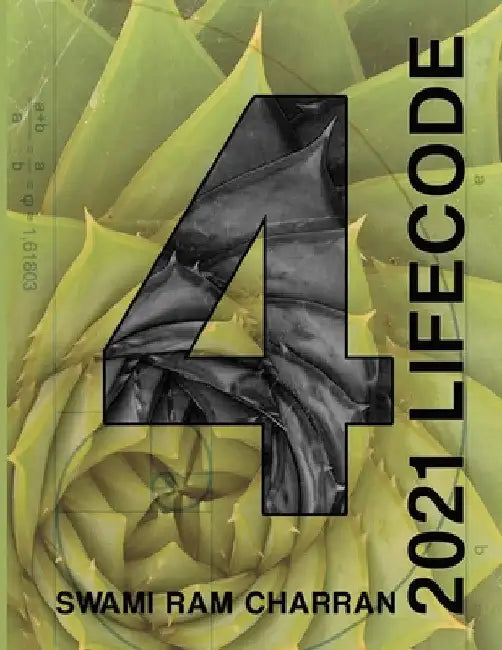 Lifecode #4 Yearly Forecast for 2021 Rudra (Color Edition) by Swami Ram Charran
