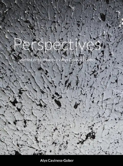 Perspectives by Alys Caviness-Gober