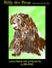 Billy the Bear and other zoo friends by Dan Joyce