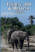 Finding 400 & Beyond: A Quest For The African Elephant & Beyond by David Kinrade