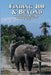 Finding 400 & Beyond: An Illustrated Quest For The African Elephant & More by David Kinrade