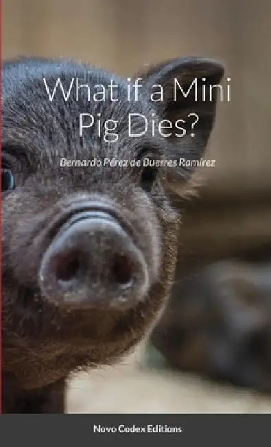 What if a Mini Pig Dies?: Novo Codex Editions by Bernardo Perez