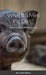 What if a Mini Pig Dies?: Novo Codex Editions by Bernardo Perez