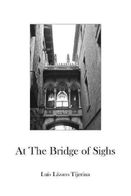 At the Bridge of Sighs by Luis Lázaro Tijerina