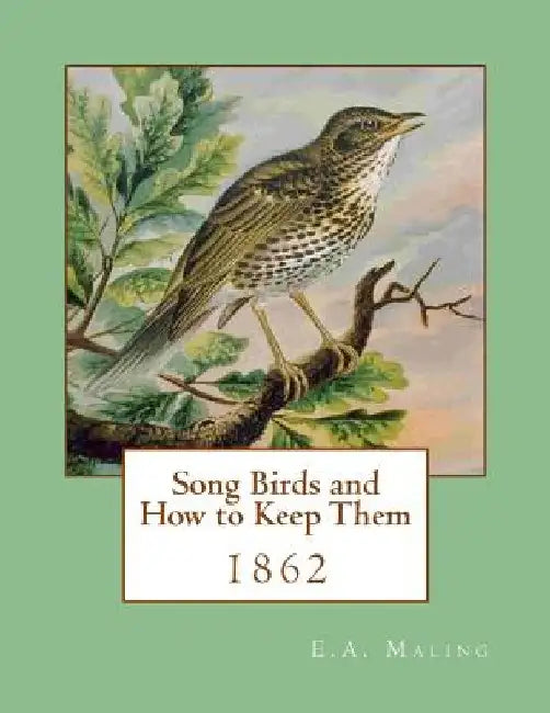 Song Birds and How to Keep Them: 1862 by Jackson Chambers