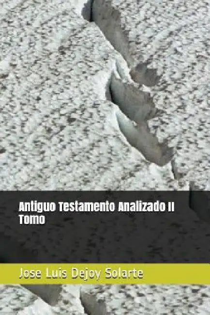 Antiguo Testamento Analizado II Tomo by Dejoy Solarte, Jose Luis