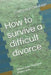 How to Survive a Difficult Divorce: When Your Husband Leaves You. by Catherine Soulage