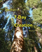 The Origin of 7-Day Creation by Richard M. Schiller