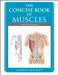 The Concise Book of Muscles by Chris Jarmey