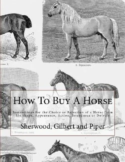 How To Buy A Horse: Instructions for the Choice or Rejection of a Horse from his Shape, Appearance, Action, Soundness or Defects by Jackson Chambers