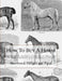 How To Buy A Horse: Instructions for the Choice or Rejection of a Horse from his Shape, Appearance, Action, Soundness or Defects by Jackson Chambers