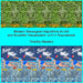 Modern Stereogram Algorithms for Art and Scientific Visualization: A C++ Sourcebook by Timothy Masters