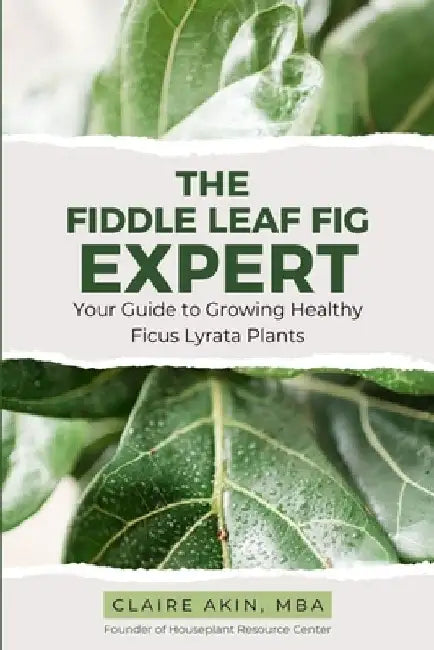 The Fiddle Leaf Fig Expert: Your Guide to Growing Healthy Ficus Lyrata Plants by Claire Akin Mba
