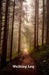 Walking Log: Compact Sized by Tom Alyea