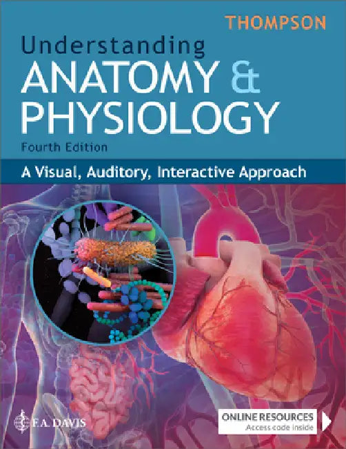 Understanding Anatomy & Physiology: A Visual, Auditory, Interactive Approach by Gale Sloan Thompson