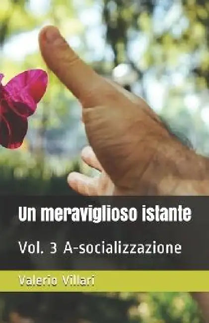 Un meraviglioso istante: Vol. 3 A-socializzazione by Valerio Villari