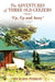 The Adventures of Three Old Geezers - Volume II - Up, Up and Away by Nora Butler