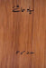 Siyah Hashiye ( Urdu Edition ) 