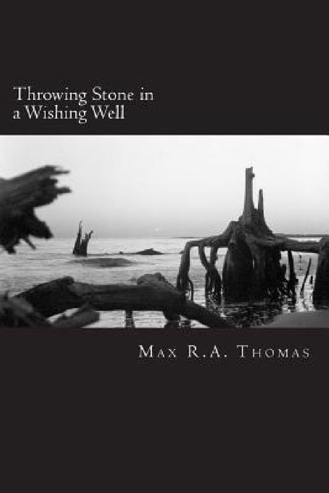 Throwing Stone in a Wishing Well by Max R. a. Thomas
