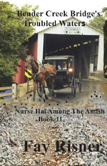 Bender Creek Bridge's Troubled Waters: Nurse Hal Among The Amish by Fay Risner