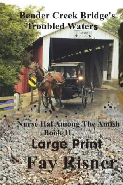 Bender Creek Bridge's Troubled Waters: Nurse Hal Among The Amish by Fay Risner