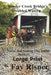 Bender Creek Bridge's Troubled Waters: Nurse Hal Among The Amish by Fay Risner