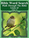 Bible Word Search Walk Through The Bible Volume 40: Judges #2 Extra Large Print by T. W. Pope