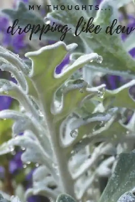 My Thoughts... Dropping Like Dew by Sunset Splendor Books