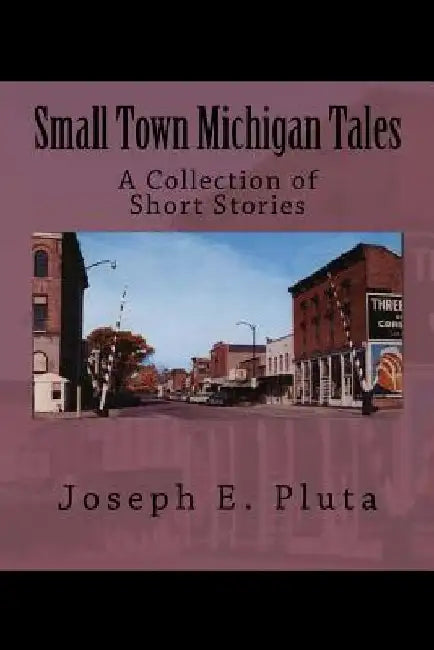 Small Town Michigan Tales: A Collection of Short Stories by Joseph E. Pluta