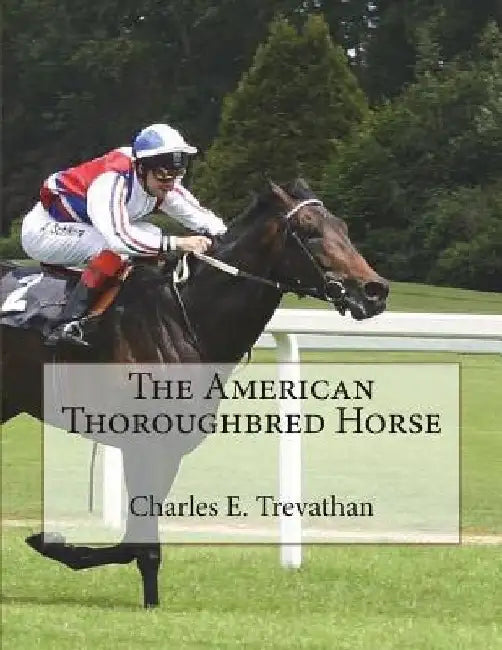 The American Thoroughbred Horse by Jackson Chambers