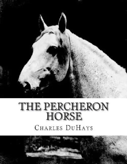 The Percheron Horse by Jackson Chambers