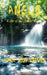 Angus: Kara's Journey by Mark Leon Reeves