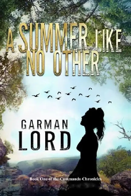 A Summer Like No Other by Garman Lord
