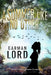 A Summer Like No Other by Garman Lord