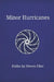 Minor Hurricanes by Steven Flint