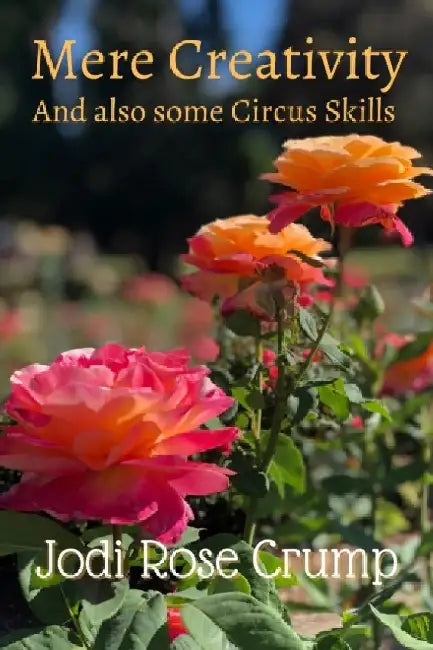 Mere Creativity: And also some circus skills. by Jodi Crump Beatty