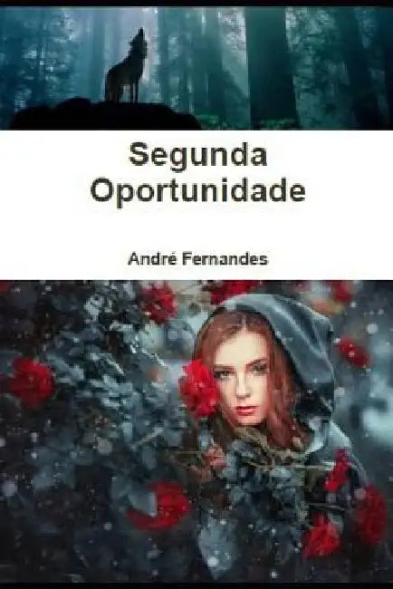 Segunda Oportunidade by Fernandes, Andr