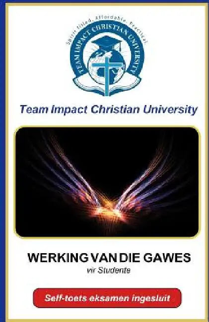 Werking Van Die Gawes by Christian University, Team Impact
