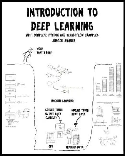 Introduction to Deep Learning: with complete Python and TensorFlow examples by Juergen Brauer