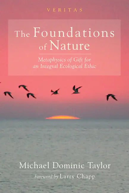 The Foundations of Nature by Michael Dominic Taylor