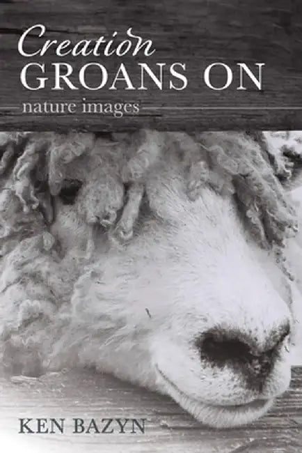 Creation Groans On by Ken Bazyn