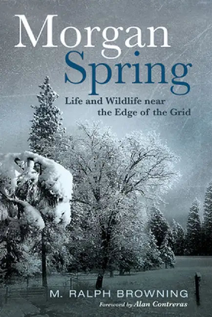Morgan Spring by M. Ralph Browning