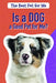 Is a Dog a Good Pet for Me? by Amanda Vink